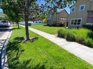 Sarah V.'s residential landscaping service result