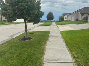 Deborah D.'s turf maintenance service result
