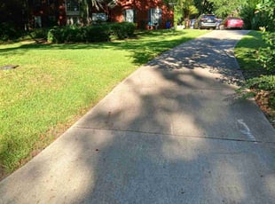Aryadip N.'s lawn service service result