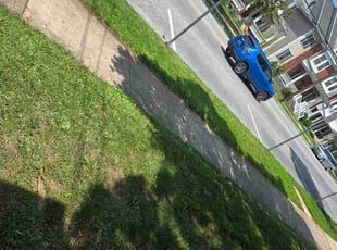 Kerry Y.'s grass cutting service result