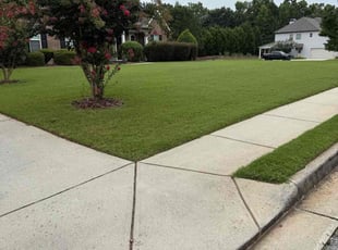 Tyler B.'s turf maintenance service result