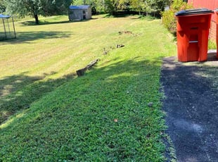 Lenora C.'s lawn maintenance service result