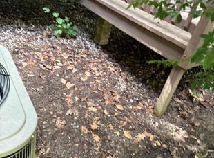 John G.'s Flower Bed Weeding service result