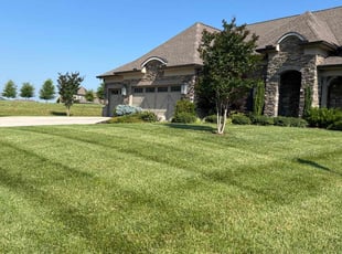 Laura M.'s grass cutting service result