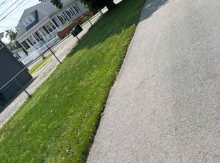 Jermaine W.'s lawn care service result