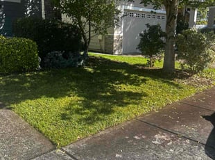 Moe V.'s turf maintenance service result