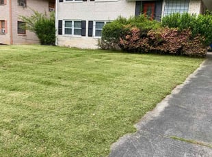 Cory S.'s lawn service service result