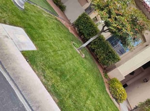 Travis R.'s lawn care service result