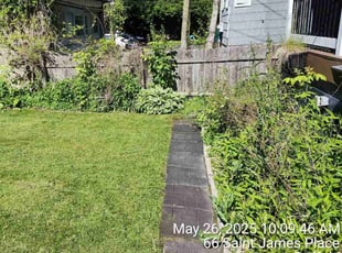 Angie R.'s lawn care services service result