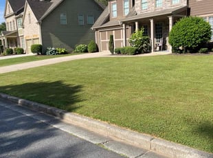 Aliyya S.'s turf care service result