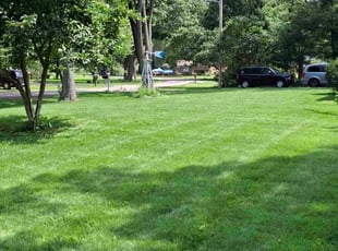 Kristi W.'s lawn care service result