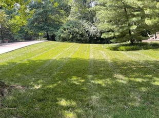 Angela M.'s lawn maintenance service result