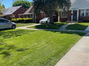 Fredicia W.'s lawn maintenance service result