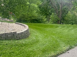 Sharon R.'s turf maintenance service result