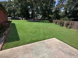 Sharleen M.'s grass maintenance service result