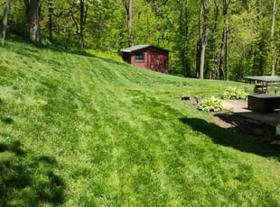 Jerry Q.'s grass cutting service result