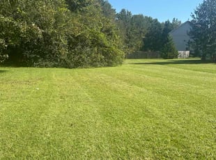 John D.'s lawn care service result