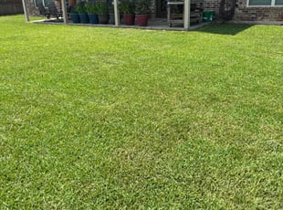 Charles B.'s lawn service service result