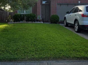 Vernon A.'s turf maintenance service result