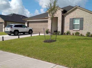 Monica R.'s turf care service result