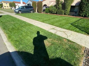 Jenny S.'s lawn maintenance service result