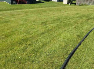 Darlene S.'s lawn care service result