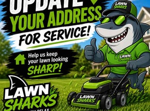 Martha M.'s grass cutting service result