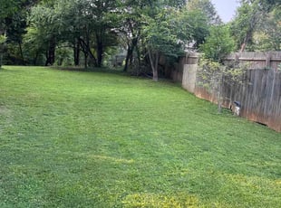 Rainey G.'s lawn maintenance service result