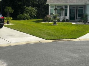 Liz M.'s turf maintenance service result