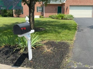 Sonja M.'s grass maintenance service result