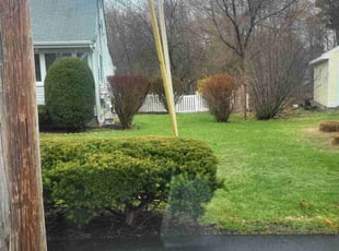 John G.'s turf care service result