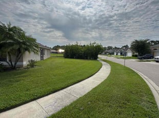 Virgil A.'s lawn care service result