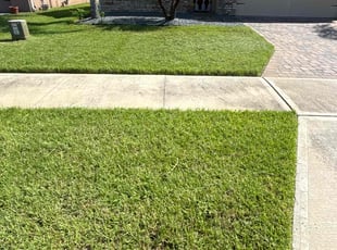 Margaret D.'s grass cutting service result