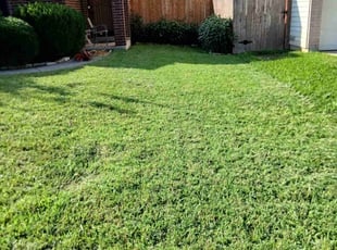 Karla K.'s grass maintenance service result