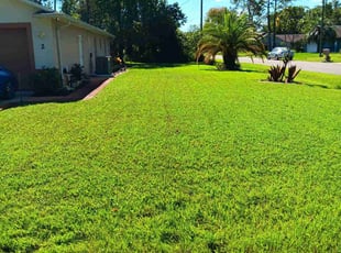 Marcea B.'s grass cutting service result