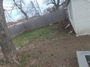 Ray B.'s Leaf Removal service result