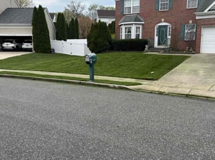 Alicia K.'s grass cutting service result