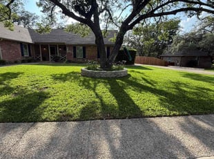 Naesha S.'s grass cutting service result