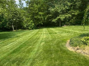 Katie M.'s turf care service result