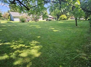 Emmanuel P.'s grass cutting service result