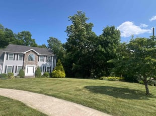 Mary R.'s grass cutting service result