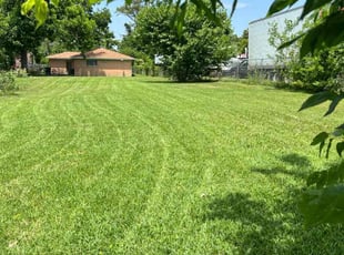 Abigail D.'s lawn service service result