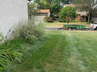 Christina D.'s grass cutting service result