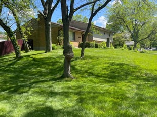 Austin V.'s yard maintenance service result