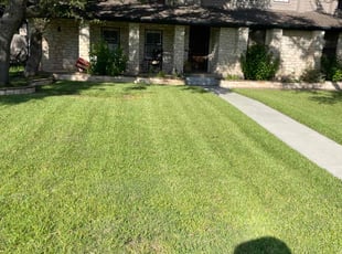 Vasuki N.'s lawn maintenance service result