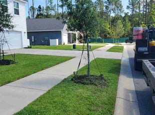 Audra M.'s grass maintenance service result