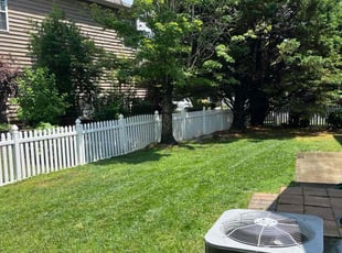 Michelle P.'s grass maintenance service result