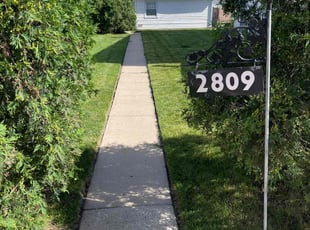 Renzie B.'s turf care service result