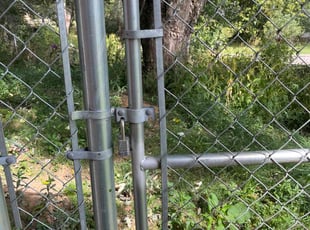 Jessica P.'s turf maintenance service result