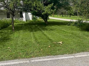 Mindy G.'s grass cutting service result